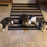 Shelley Mattson - @shelley.mattson.3 - Instagram