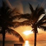 Shelly Maxwell - @shellymaxwell1975 - Instagram