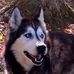 Shelly Maxwell - Facebook