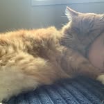 Shelly Mayer - @shellymayer38 - Instagram