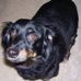 Shelly McComas - Facebook