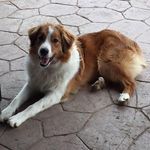 Shelly Mccormick - @slmccor69 - Instagram