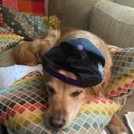 Shelley McCurdy - Facebook