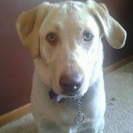 Shelly Hemp McLean - @bluebean13 - Instagram