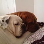 Michelle Anita - @shellymellor1 - Instagram