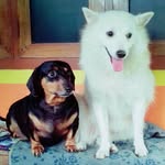 Mickey_Shelly_🐾🐾😍 - @mickey_shelly__ - Instagram