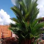 Shelly Mohammed - Facebook