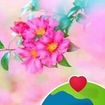 Shelly Mohammed - @shellymohammed1981 - Instagram