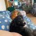 Shelley Heaton-Pendleton - Facebook