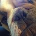 Shelly Pollock - Facebook