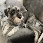 Shelley Poole - @shelley_595 - Instagram