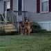Shelley Poole - Facebook
