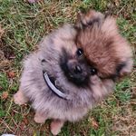 Michelle_nkl_ - @shelly_popelli_i_md95 - Instagram