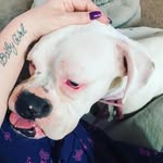 Shelly Powell - @duelypowell - Instagram