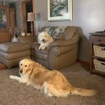 Shelly Pratt - @shellypratt6 - Instagram