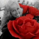 Shelly Pratt - @shelly_sanford_pratt - Instagram