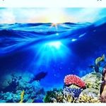 Shelly Putnam - @shelly.putnam72367 - Instagram