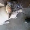 shellyramirez448 - @shellyramirez448 - TikTok