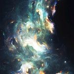 ShellyRoot - @shellyroot2 - Instagram