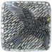Shelly Ross - Facebook