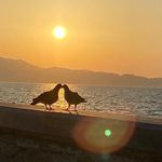 Shelly Ross - @ross.shelly - Instagram