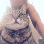 Shelly Ross - @viking_crow - Instagram