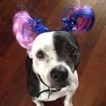 Shelley Sain Seitz - @shellsaintz - Instagram