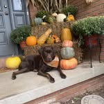 Shelley Seitz Hallock - @shelleyhallock - Instagram