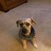 Shelly Seth - Facebook