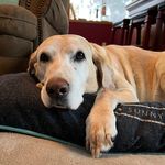 Shelly Sharp - @shellysharp5734 - Instagram