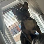 Michelle Shaw - @shelly.shaw - Instagram