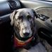 Shelly Smith - Facebook