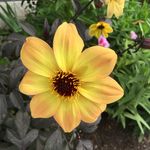 Shelly Snow - @frosty_shell - Instagram
