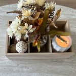 Shelly Springer - @phitgirl28 - Instagram