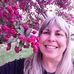Shelly Stephens - Facebook