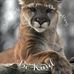 Shelly Strong - Facebook