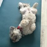 Shelley Tait - @shelley.tait - Instagram