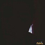 shelly toth - @toth.shelly - Instagram