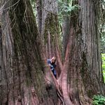 Shelley Travis - @shelley.travis.3 - Instagram