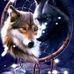 Shelly Travis - Facebook