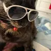 shellytravis415 - @shellytravis415 - TikTok