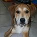Shelley Tremblay - Facebook