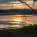 Shelly Weeks - Facebook