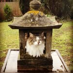 Shelly Weeks - @heritage_garden_art - Instagram
