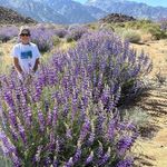 Shelley Whaley - @ilovetheeasternsierra - Instagram