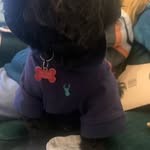 Shelly White - @swhite3276 - Instagram