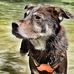 Shelly DeSilva Whitlock - Facebook