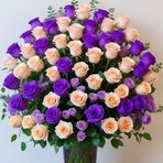 Shelley Whitney - Facebook