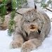 Shelley Wilkinson - Facebook