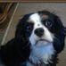 Shelly Wilkinson - Facebook